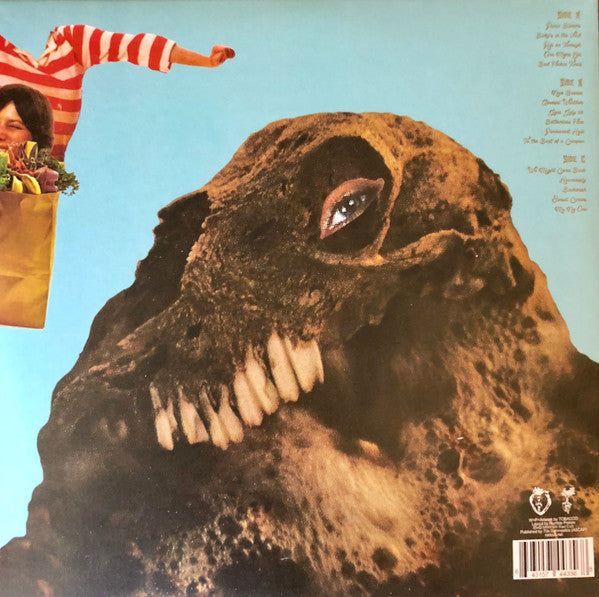 Black Moth Super Rainbow : Panic Blooms (2xLP, Album, Ltd, Gol)