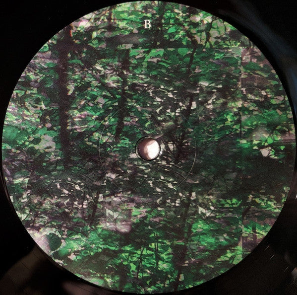 Gas : Rausch (2xLP, Album)