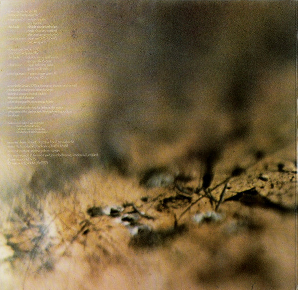 Tangerine Dream : Rubycon (LP, Album, RE, Gat)