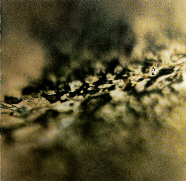 Tangerine Dream : Rubycon (LP, Album, RE, Gat)