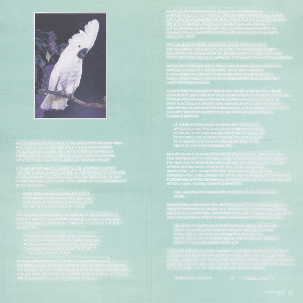 Monopoly Child Star Searchers : Make Mine, Macaw (LP, Ltd, RM)