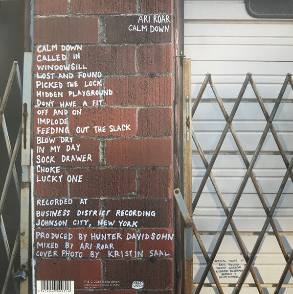 Ari Roar : Calm Down (LP)