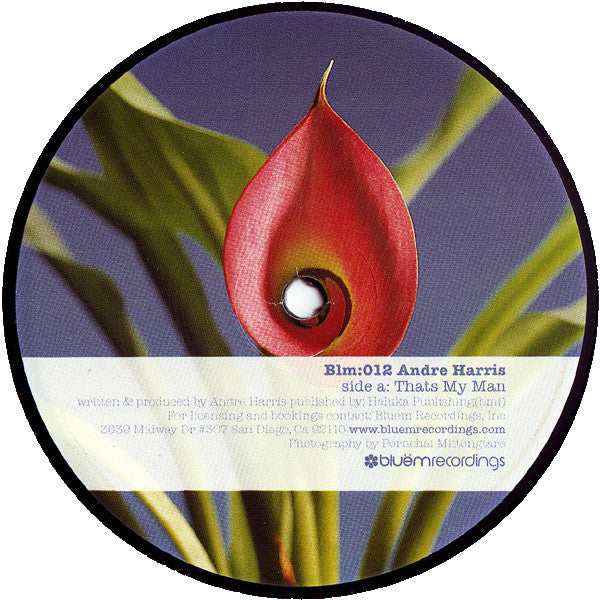 Andre Harris : That's My Man / I See Light (12")