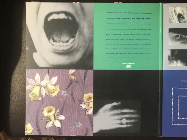 Melvins : Stoner Witch (LP, Album, RE, 180)