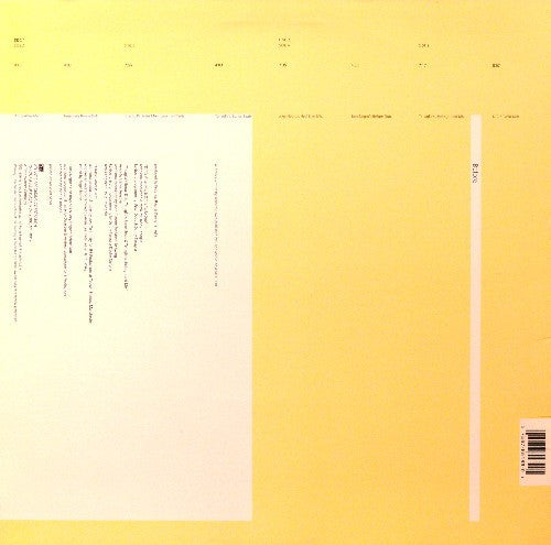 Pet Shop Boys : Before (2x12", Maxi)