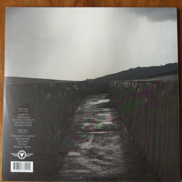 Bellini (4) : Before The Day Has Gone (LP, Album, Opa)