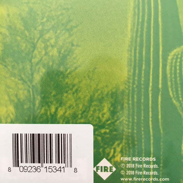 Giant Sand : Returns To Valley Of Rain (LP, Album)