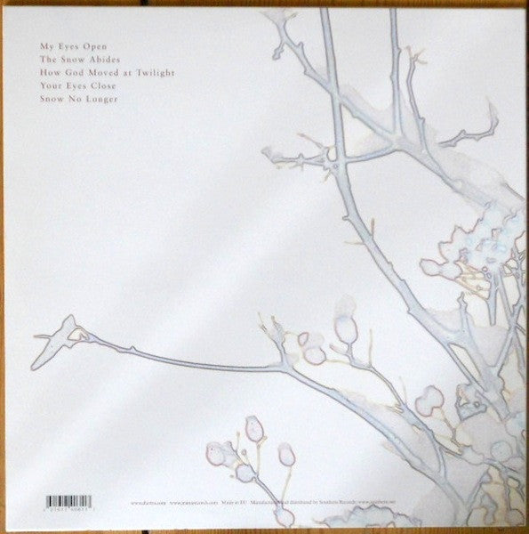 Michael Cashmore : The Snow Abides (LP, MiniAlbum, Whi)