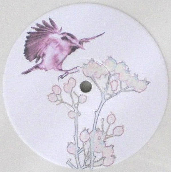 Michael Cashmore : The Snow Abides (LP, MiniAlbum, Whi)