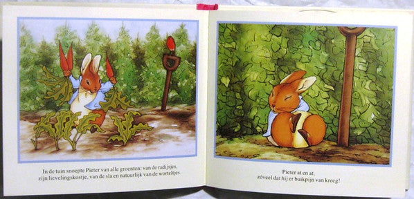 Beatrix Potter : De Avonturen Van Pieter Konijn En Benjamin Wollepluis (CD, RE)