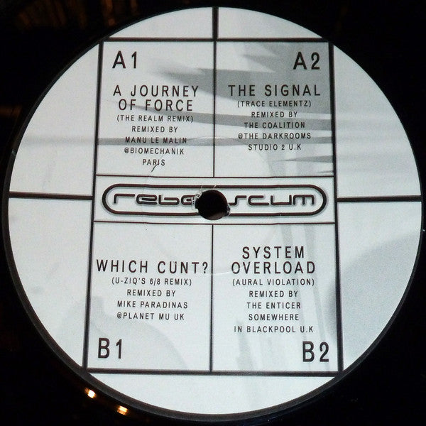 The DJ Producer : Interpretations (2x12")
