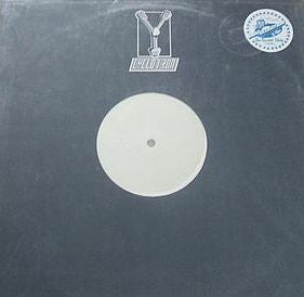 The Hypnotist : This Is My House (12", W/Lbl)
