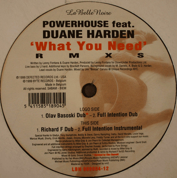 Powerhouse : What You Need (12")