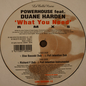 Powerhouse : What You Need (12")