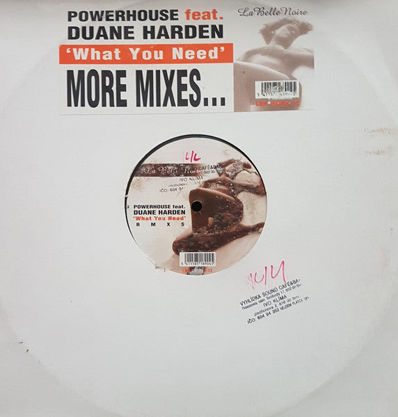 Powerhouse : What You Need (12")
