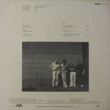 David Friedman : Of The Wind's Eye (LP, Album)