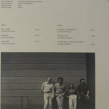 David Friedman : Of The Wind's Eye (LP, Album)
