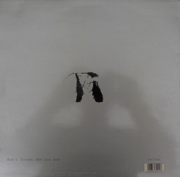 Rejuvination : Don't Forget Who You Are (12")