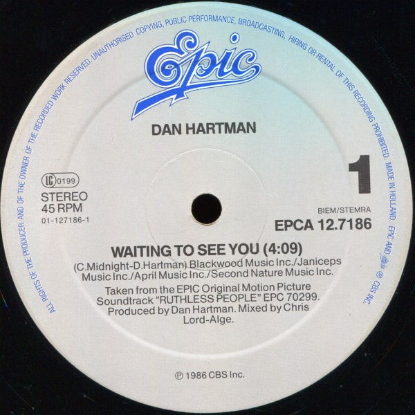 Dan Hartman : Waiting To See You (12", Maxi)