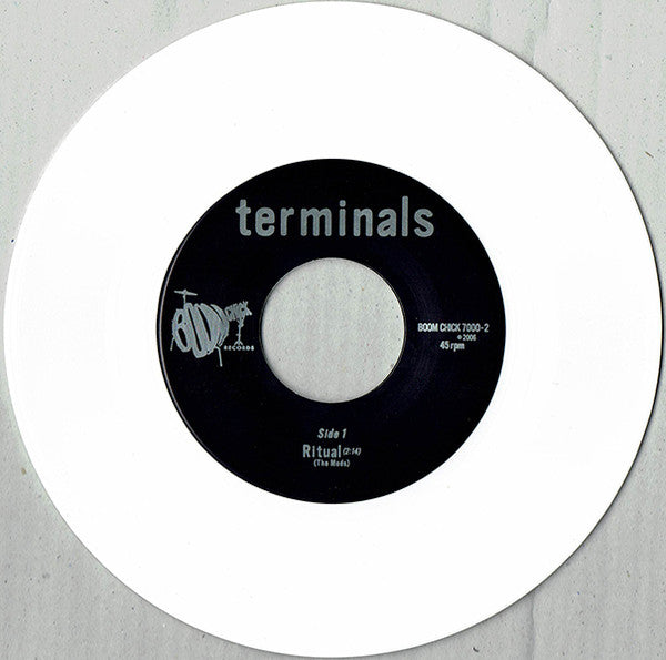 The Terminals (3) : Takin' Care Of Brooks (7", Whi)
