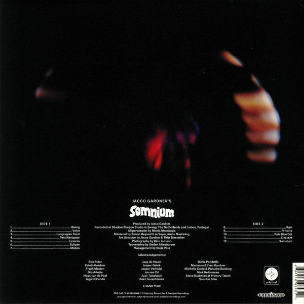Jacco Gardner : Somnium (LP, Album, 180)