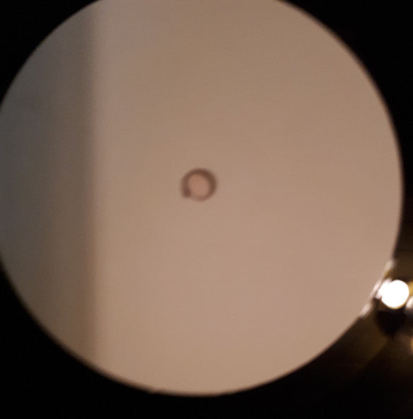 Various : Positively Elizabeth Street (A Citadel Compilation) (LP, Comp, TP, W/Lbl)