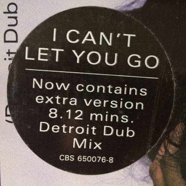 Haywoode : I Can't Let You Go (Detroit Dub Mix) (12", Single)