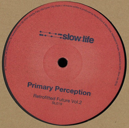 Primary Perception : Retrofitted Future Vol. 2 (12", EP)