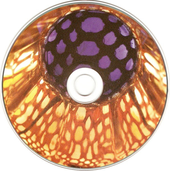 Animal Collective : Peacebone (CD, Single, Dig)