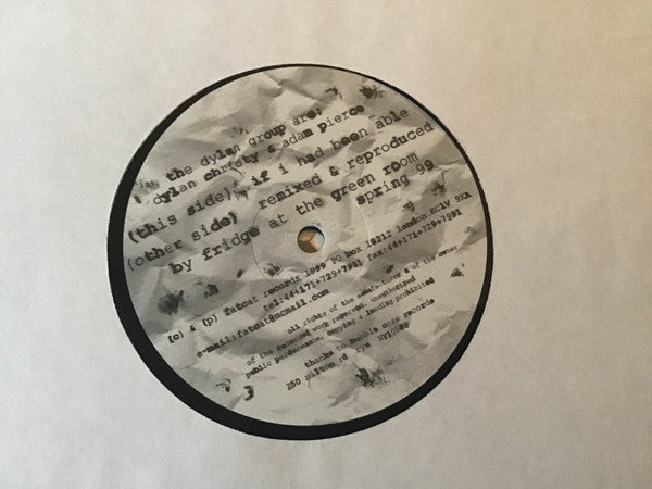 The Dylan Group : If I Had Been Able... (12")