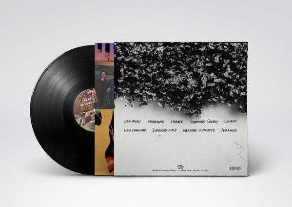 Steve Gunn : The Unseen In Between (LP, Album)