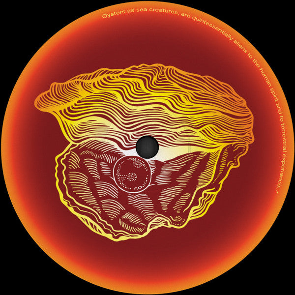 DJ Trance And Darwin Chamber : Indians And Aliens (12")