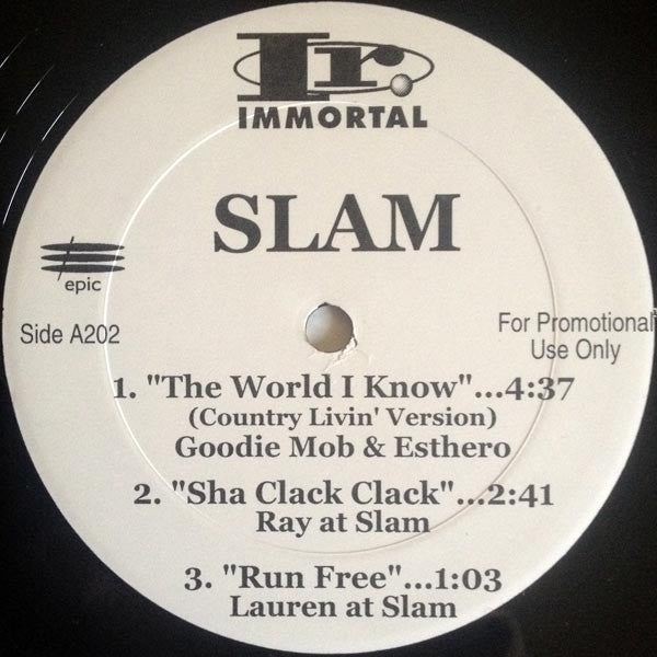 Various : Slam - The Sampler (12", Promo)