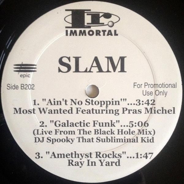 Various : Slam - The Sampler (12", Promo)