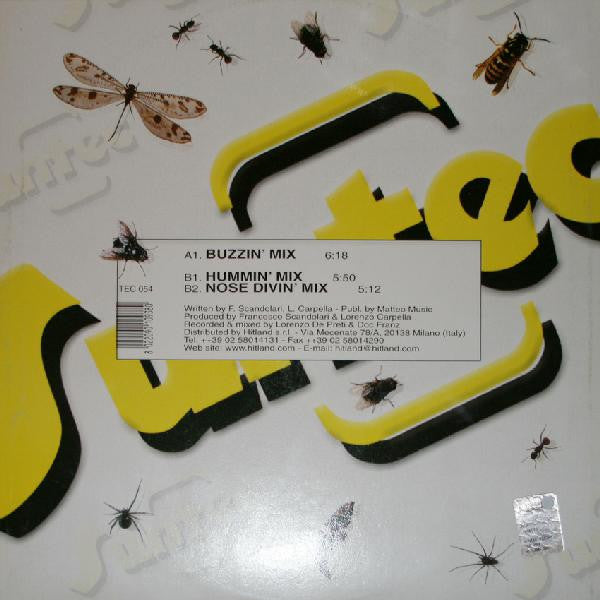 Insecto : Insecto (12")