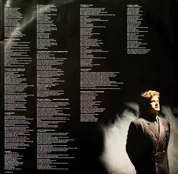 Peter Hofmann : Rock Classics 2 (LP, Album)