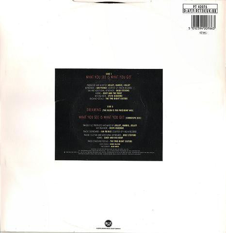 Glen Goldsmith : What You See Is What You Get (12")