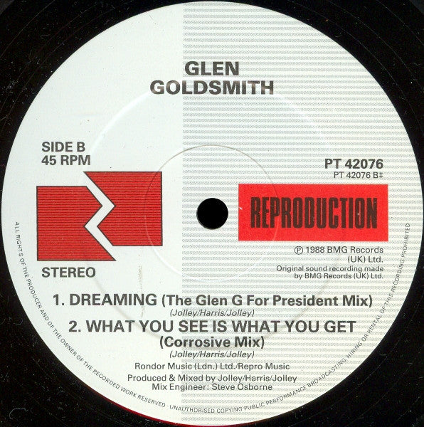 Glen Goldsmith : What You See Is What You Get (12")