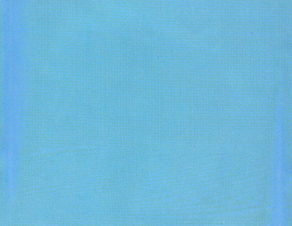 The Pretenders : Loose Screw (CD, Album, Enh, S/Edition)