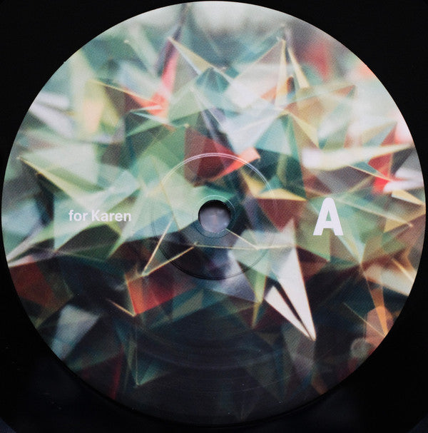 Floris Vanhoof : The Fluid Computer (LP, Album, Ltd, Num, Boo)