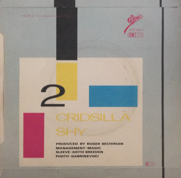 The Photos : Irene + Barbarellas (7", Single)