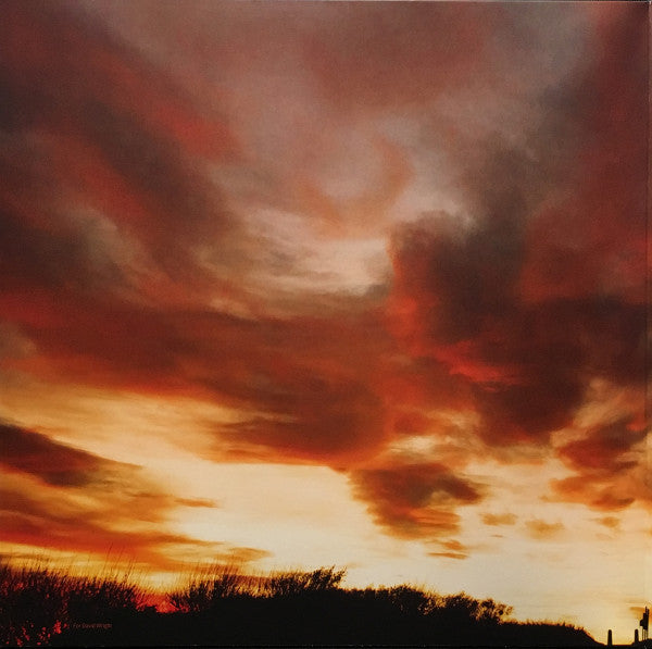 Richard Hawley : Further (LP, Album, Ltd, Ora)