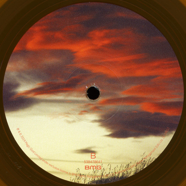 Richard Hawley : Further (LP, Album, Ltd, Ora)