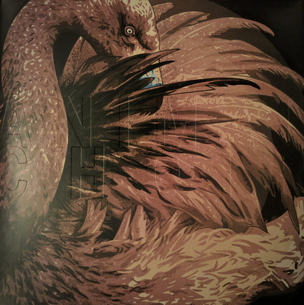 Her Name is Calla : [Animal Choir] (2xLP, Album, Ltd, Tra)