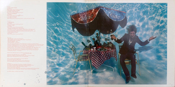 Joe Walsh : "But Seriously, Folks..." (LP, Album, Gat)