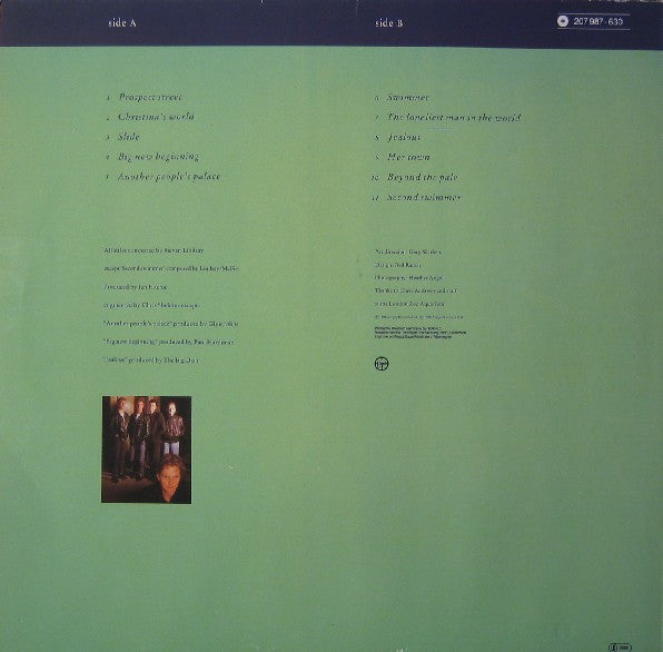 The Big Dish : Swimmer (LP, Album)