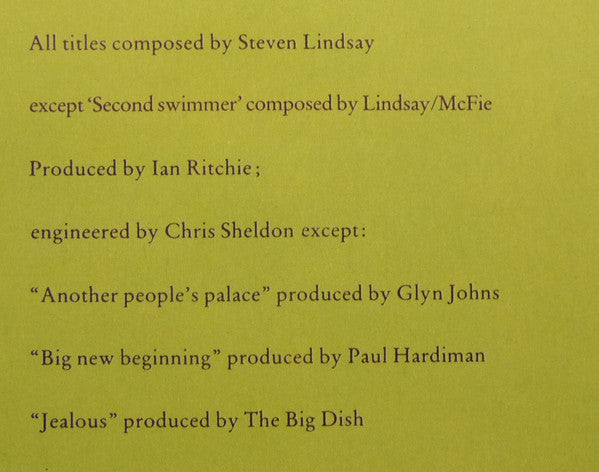 The Big Dish : Swimmer (LP, Album)