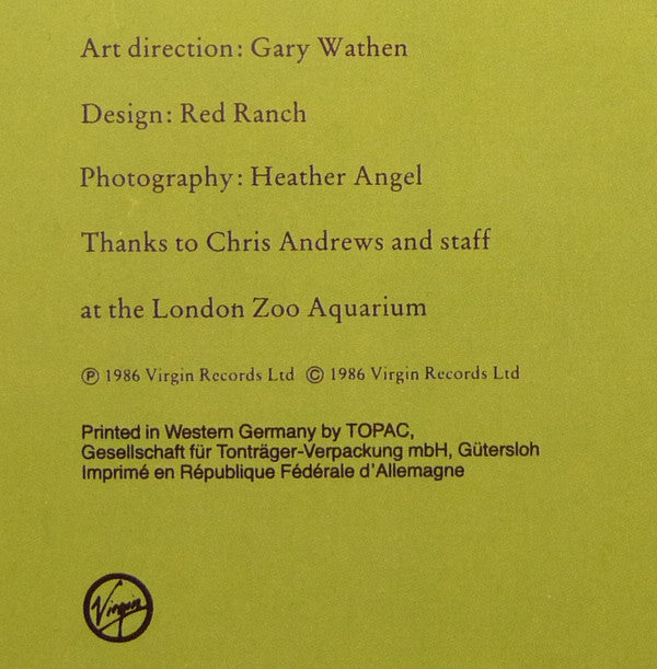 The Big Dish : Swimmer (LP, Album)