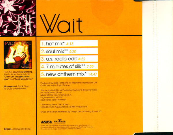 Taylor Dayne : I'll Wait (CD, Single)