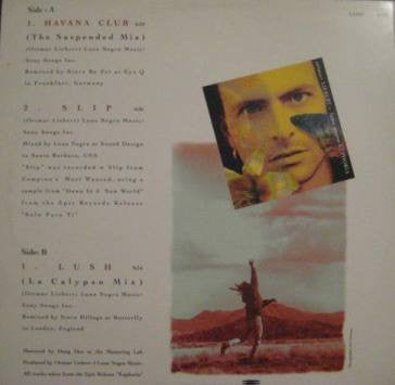 Ottmar Liebert & Luna Negra* : Club Sampler (12", Promo)